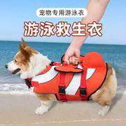 狗狗游泳衣服救生衣柯基法斗泰迪，金毛大中小型犬，宠物玩水专用夏装