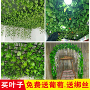 花藤绿叶装饰仿真葡萄，叶假树叶植物藤条塑料，藤蔓缠绕吊顶假花叶子