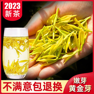 2024新茶安吉正宗黄金芽白茶，绿茶明前特级珍稀高山春茶500克茶叶