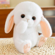 可爱小兔子公仔毛绒玩具真兔玩偶儿童节礼物布娃娃女超萌兔摆件礼