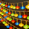 新年红灯笼中国结福字小彩灯闪灯串灯满天星装饰春节家用过年布置