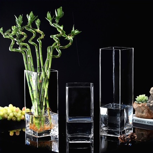 花瓶 玻璃透明方形花器百合富贵竹干花插花四方花瓶摆件客厅落地