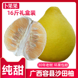正宗广西容县沙田柚16斤新鲜柚子水果纯甜不酸非梅州
