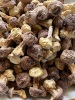 云南特产姬松茸菇干货鸡菌蘑巴西菇无硫500g特级野生