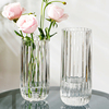 条纹轻奢高档高级感玻璃花瓶客厅，鲜花透明插花水养水培ins风摆件