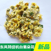 杭白菊朵花桐乡菊花胎菊杭白菊花茶花果茶