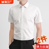 男士白色衬衫长袖正装，免烫打底内搭短袖，衬衣西装黑色2024年商务
