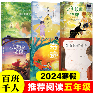 2024寒假百班千人推 荐5五年级小学生课外阅读书籍儿童必读指间阳光奇迹少年戴维和猫追星星的少年尼姆的老鼠少女的红衬衣正版