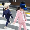 童装女童秋装儿童金丝绒，运动套装韩版宝宝，洋气卫衣两件套2024