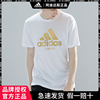 Adidas/阿迪达斯短袖男夏季金标半袖透气速干篮球运动休闲T恤