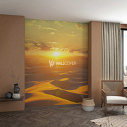 德国进口玛堡壁画无纺32545天空阳光风景沙丘客厅卧室背景墙壁画