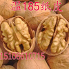 新疆阿克苏纸皮核桃温185纸皮核桃苗薄壳，如纸核桃树苗当年结果
