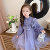韩国童装女童连衣裙秋冬洋气宝宝，紫色长袖公主，裙女孩网红蓬蓬纱裙