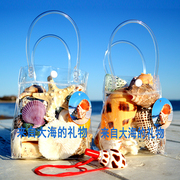 天然贝壳海螺摆件海星珊瑚套装海洋科普儿童礼物鱼缸装饰小摆件