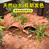 黄缘龟红土垫材安缘天然红泥乌龟箱，造景专用黄土红沙种植龟缸用品