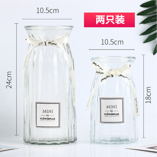 玻璃花瓶摆件客厅插花透明水养富贵竹干花专用瓶2021水培器皿