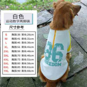 大狗衣服卫衣大型犬金毛拉布l拉多狗狗冬天保暖秋冬牵引宠物四脚