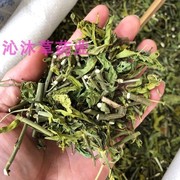 忧遁草中药材500克新货优盾草优遁草新鲜干货黎王草优顿草泡茶