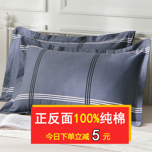 纯棉枕套一对装100全棉枕，头套48x74cm加厚成人，家用大号枕芯套夏季