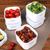 日本进口冰箱食物保鲜盒，食品级塑料可微波，便当餐盒米饭水果收纳盒
