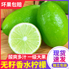 海南香水柠檬9斤新鲜现摘应当季水果广东青柠檬奶茶店专用10