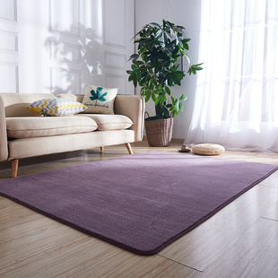 加厚超柔地毯简约现代北欧客厅茶几垫子卧室，床前毯满铺可水洗