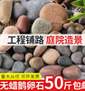 50斤大鹅卵石原d铺地铺路庭院彩色石头，鱼缸装饰石子天然鹅软暖石
