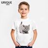 小蓝猫可爱猫咪狗狗图案莫代尔，儿童t恤男童亲子装创意圆领短袖