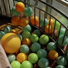 高端ins牛油果绿气球木瓜，桔黄色双层加厚开业结婚礼生日装饰布置