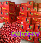 新疆红枣20斤若羌特级灰枣一级大中小散装清洗整箱批。发红枣