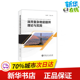 深井复杂地层固井理论与实践 马开华 丁士东 著 程天阁 编 工业技术其它专业科技 新华书店正版图书籍 中国石化出版社