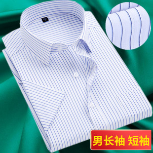 长袖衬衫秋季男士商务职业，白底蓝色条纹工装打底衫衬衣加肥加大码