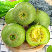 新鲜绿宝甜瓜5斤水果香瓜当季时令小甜瓜脆瓜绿宝石3斤批