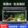 鱼缸客厅小型2024乌龟饲养缸生态鱼缸金鱼缸电视柜旁小鱼缸