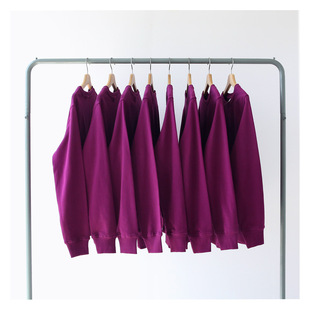 2020秋季薄款紫红色火龙果色墨紫色毛圈圆领卫衣男女bf风常规