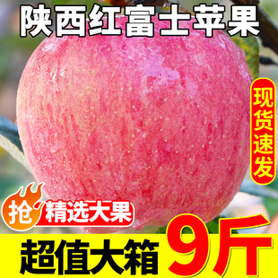陕西红富士苹果水果新鲜整箱当季脆甜丑平果整箱10小冰糖心斤