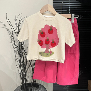 韩国童装女童套装2024夏季洋气，卡通印花宽松短袖t恤玫红色两件套