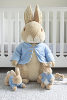英国正版peterrabbit彼得，兔公仔毛绒玩具潮流玩具，公仔送礼可水洗
