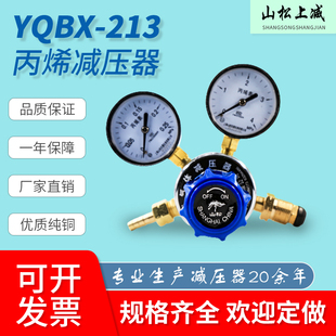 山松上减厂丙烯减压器YQBX-213气体钢瓶减压阀调压阀4mpa全铜