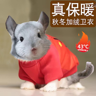 龙猫保暖衣服过冬天专用防寒冷神器宠物小兔子荷兰猪豚鼠穿的衣服