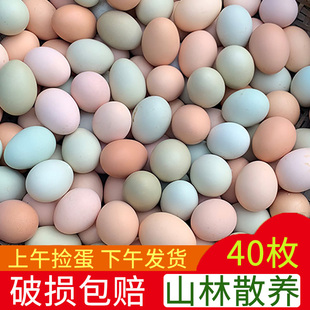 正宗土鸡蛋农家散养新鲜纯农村自养天然40枚草鸡蛋笨鸡蛋乌绿壳蛋
