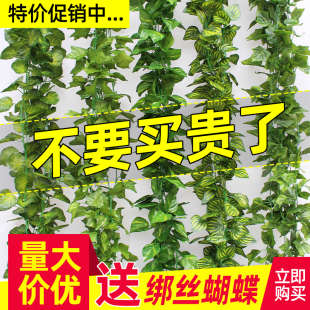 仿真藤条葡萄叶装饰假花藤蔓管道缠绕绿植吊顶树叶塑料爬山虎绿叶