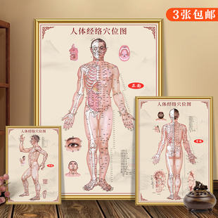 中医养生馆针灸人体经络穴位图大挂图全身标准中式十二经KT板墙画