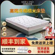 高箱床垫薄款席梦思弹簧床垫15cm厚天然乳胶，椰棕榻榻米硬垫可定制