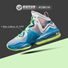 nikelebron19詹姆斯气垫，缓震耐磨训练透气运动篮球鞋dd0418-400