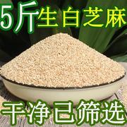 带皮生白芝麻(白芝麻)5斤油芝麻农家已筛选沂蒙山区芝麻非脱皮芝麻