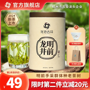 明前特级龙井2024年新茶绿茶，老茶树群体种龙井茶，口粮茶自己喝茶叶