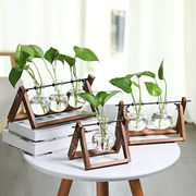 创意木架绿萝水培花瓶，植物办公桌面装饰物玻璃花，器客厅摆件