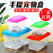 中小号手提塑料鱼缸乌龟缸，透明宠物盒，爬虫饲养盒运输盒