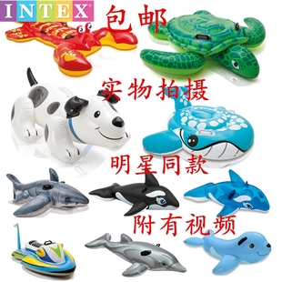 大型儿童水上充气坐骑鲨鱼海豚鲸鱼大海龟鳄鱼大龙虾成人动物玩具